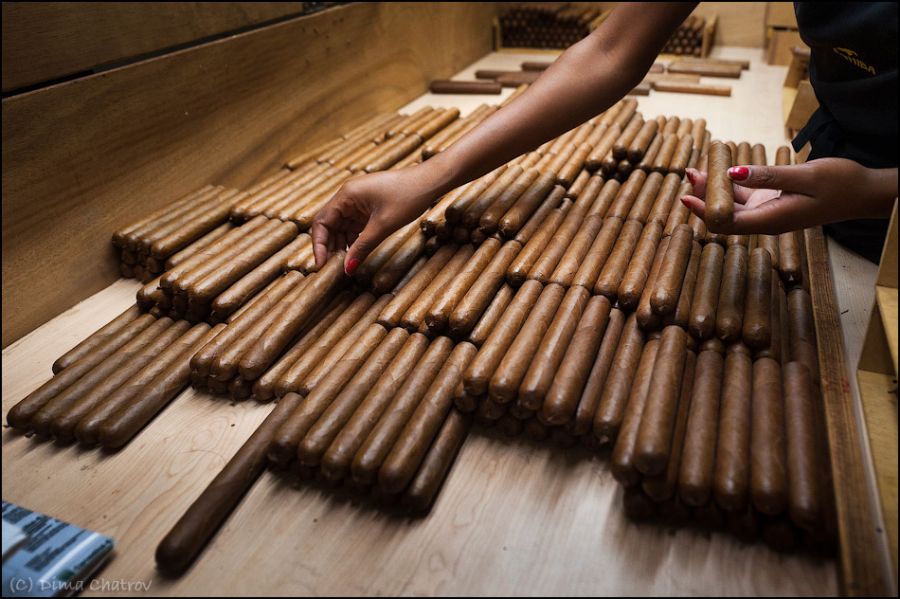 Фоторепортаж о производстве сигар