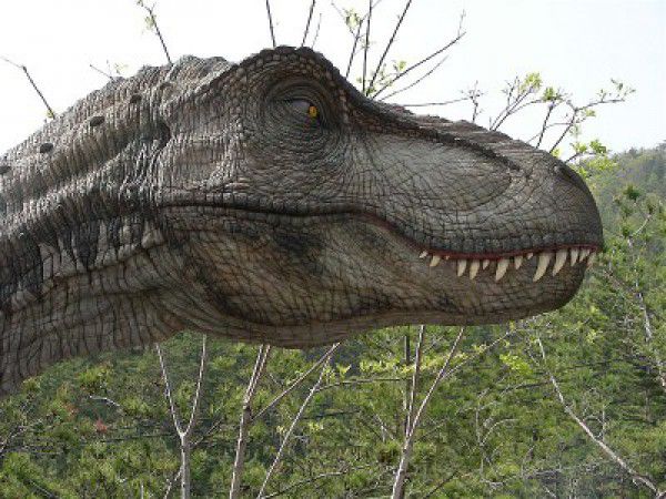 Топ - 10 факты о динозаврах